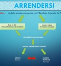 ROMA - OPEN DAY - La Forza Vitale: Energizzare i Diavoli vantaggiosa fonte  di energia per l’Adulto” (Bennett Shapiro) di Alessandra Giorgetti